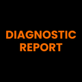 DIAGNOSTIC REPORT